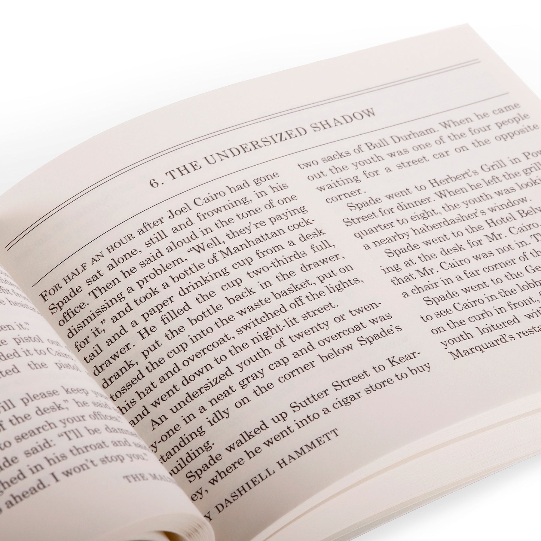 “The Maltese Falcon” Book – Field Notes