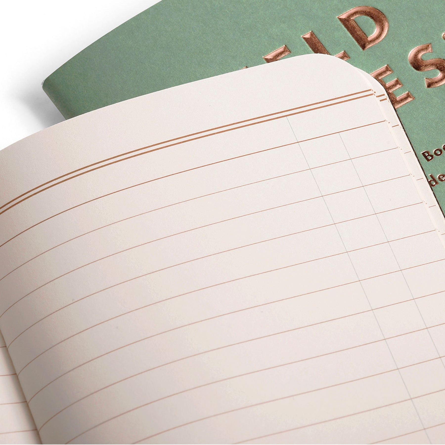 "Lucky" Memo Books (set of 3) – Field Notes