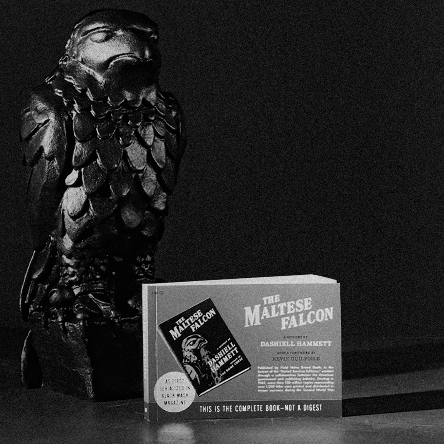 “The Maltese Falcon” Book – Field Notes