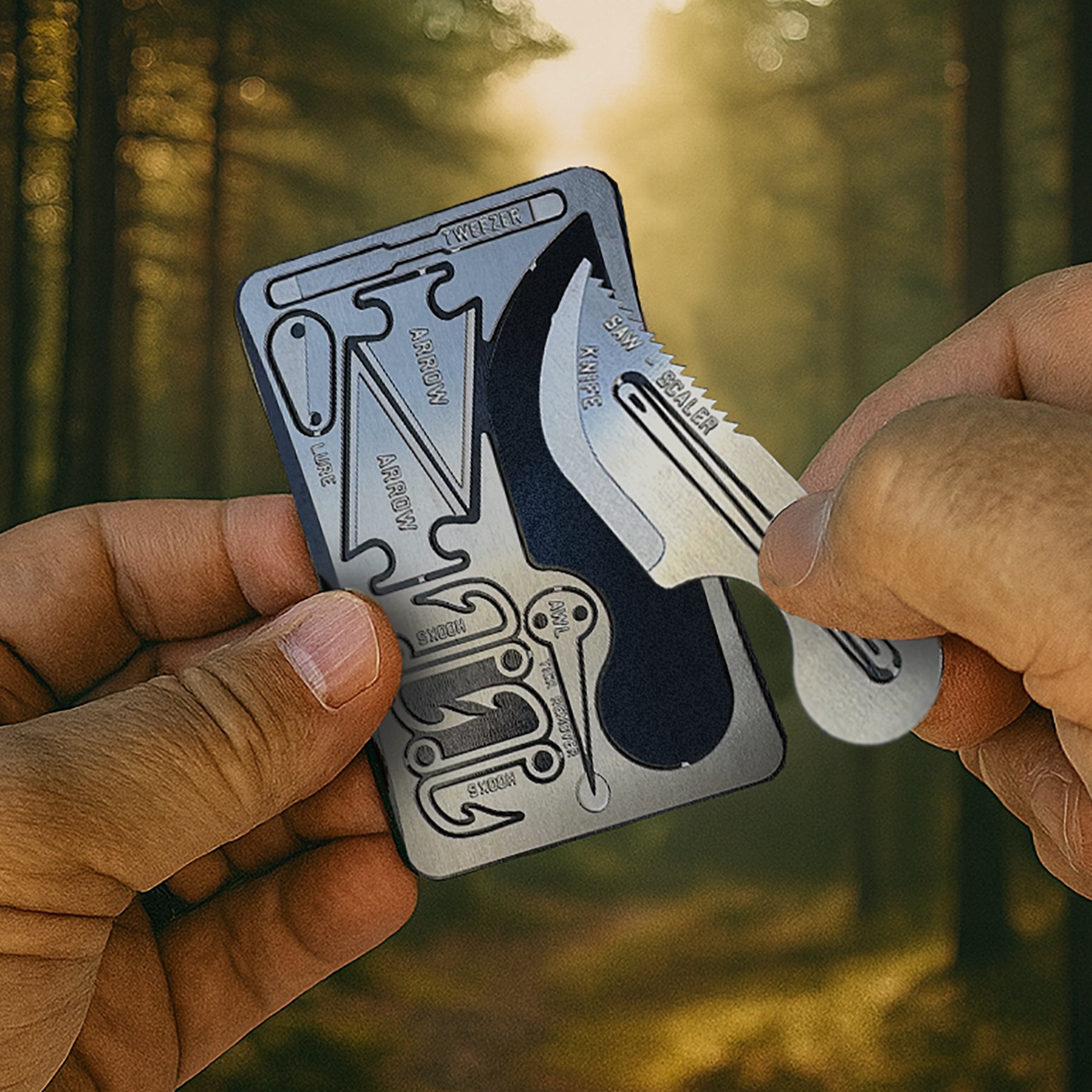 Wild Card