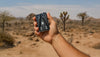 Hand holding a multi-tool card in front of a desert landscape with Joshua trees.