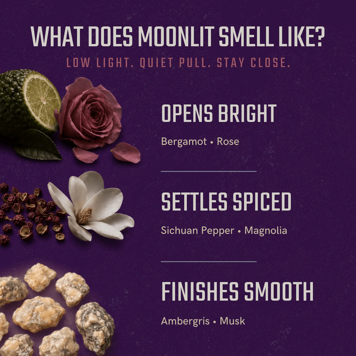 An informational graphic on a dark purple background explaining the scent profile of moonlit incense. It features illustrations and photos of ingredients including a lime half, a rose, a white magnolia flower, peppercorns, and incense sticks.