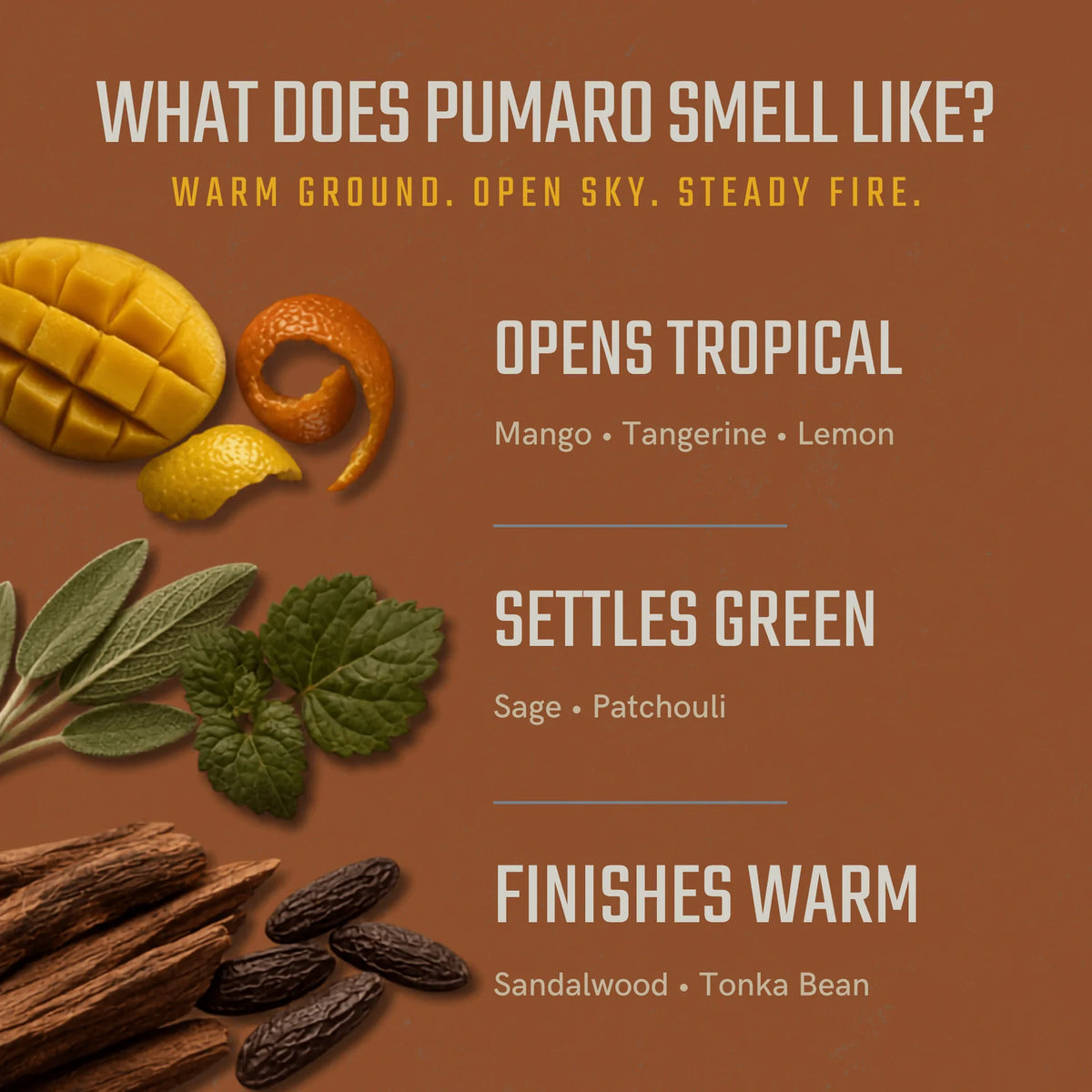 Pumaro – Solid Cologne by Bawston & Tucker